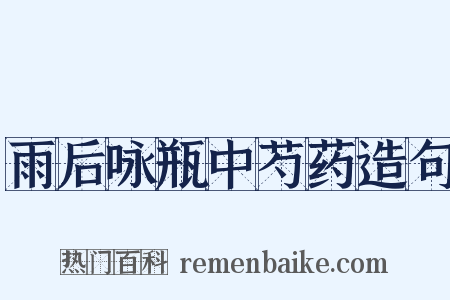 雨后咏瓶中芍药造句是什么意思的图片